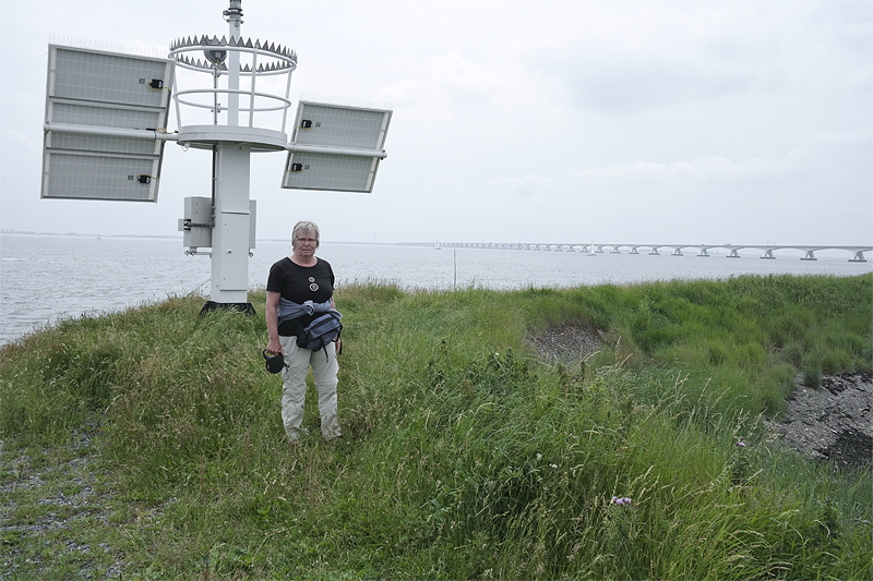 Holland 6 - 2013 _SAM_2091 als Smart-Objekt-1 Kopie.jpg - Im HIntergrund die Brücke über die Oosterschelde